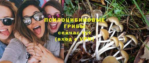 прущий лед Алексин