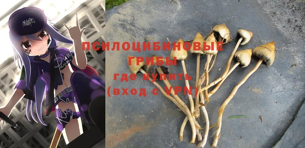 дурь Абинск