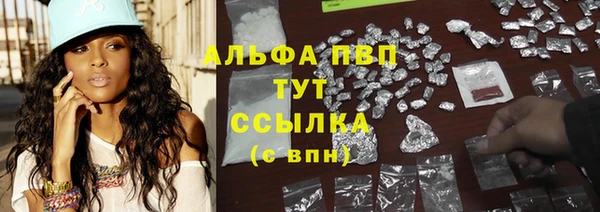 ПСИЛОЦИБИНОВЫЕ ГРИБЫ Новозыбков