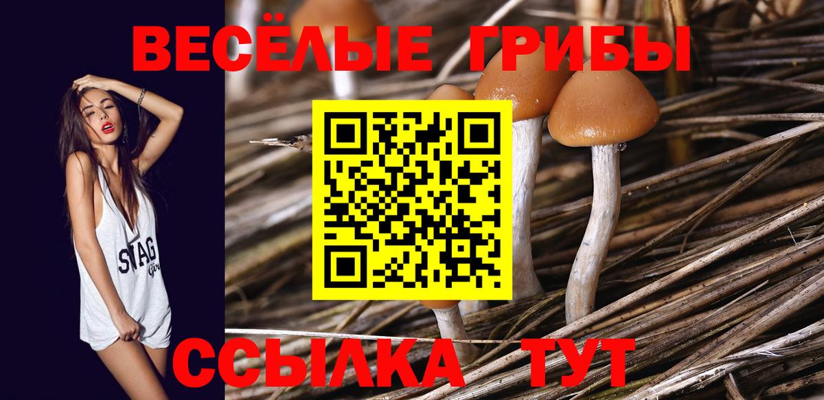 Галлюциногенные грибы ЛСД  как найти закладки  Лосино-Петровский  Галлюциногенные грибы ЛСД  Вход с VPN 